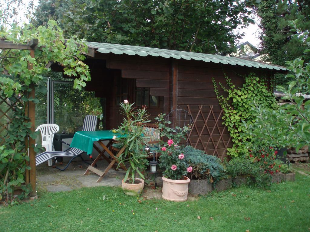 Ferienwohnung Anna Scheid Kelberg Exteriör bild